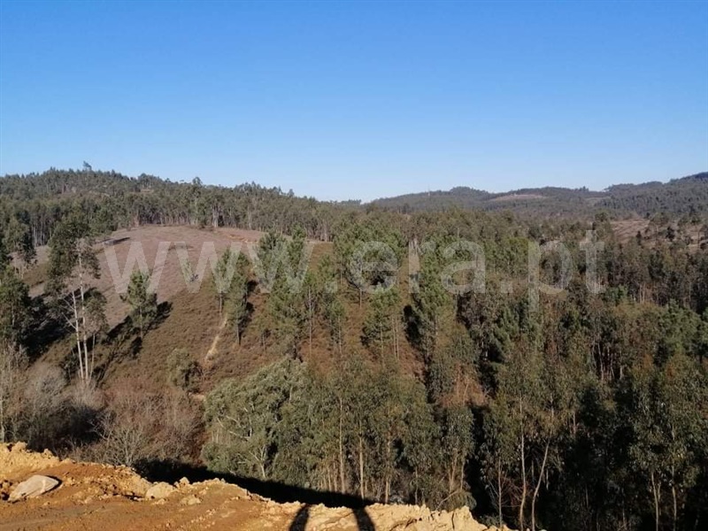 Terreno para Construção  Vila Nova de Famalicão, Ribeirão - 1146262 - 17