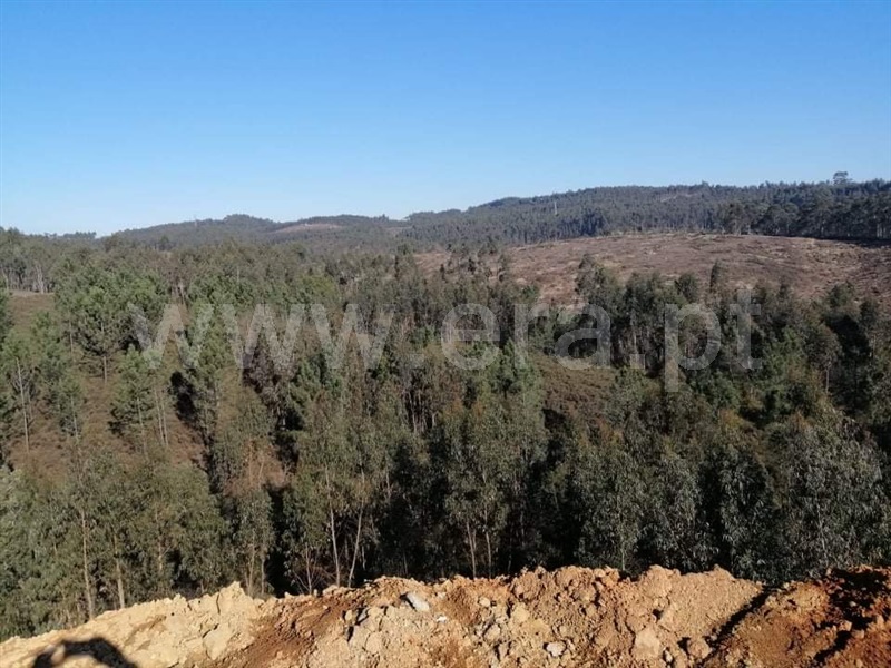 Terreno para Construção  Vila Nova de Famalicão, Ribeirão - 1146262 - 18
