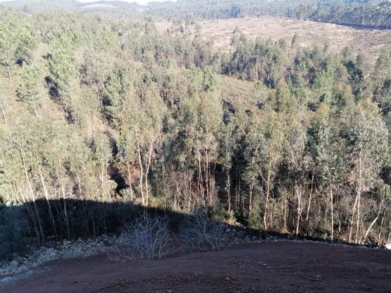 Terreno para Construção  Vila Nova de Famalicão, Ribeirão - 1146262 - 20