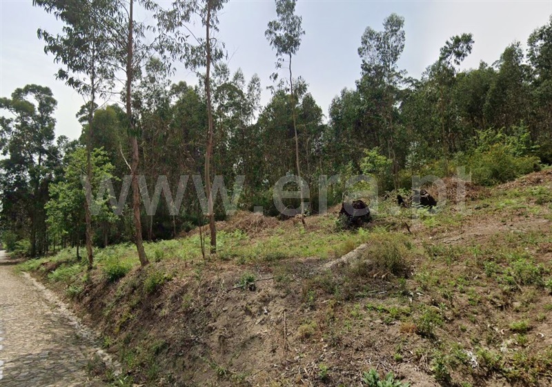 Terreno para Construção / Vila Nova de Famalicão, Vermoim