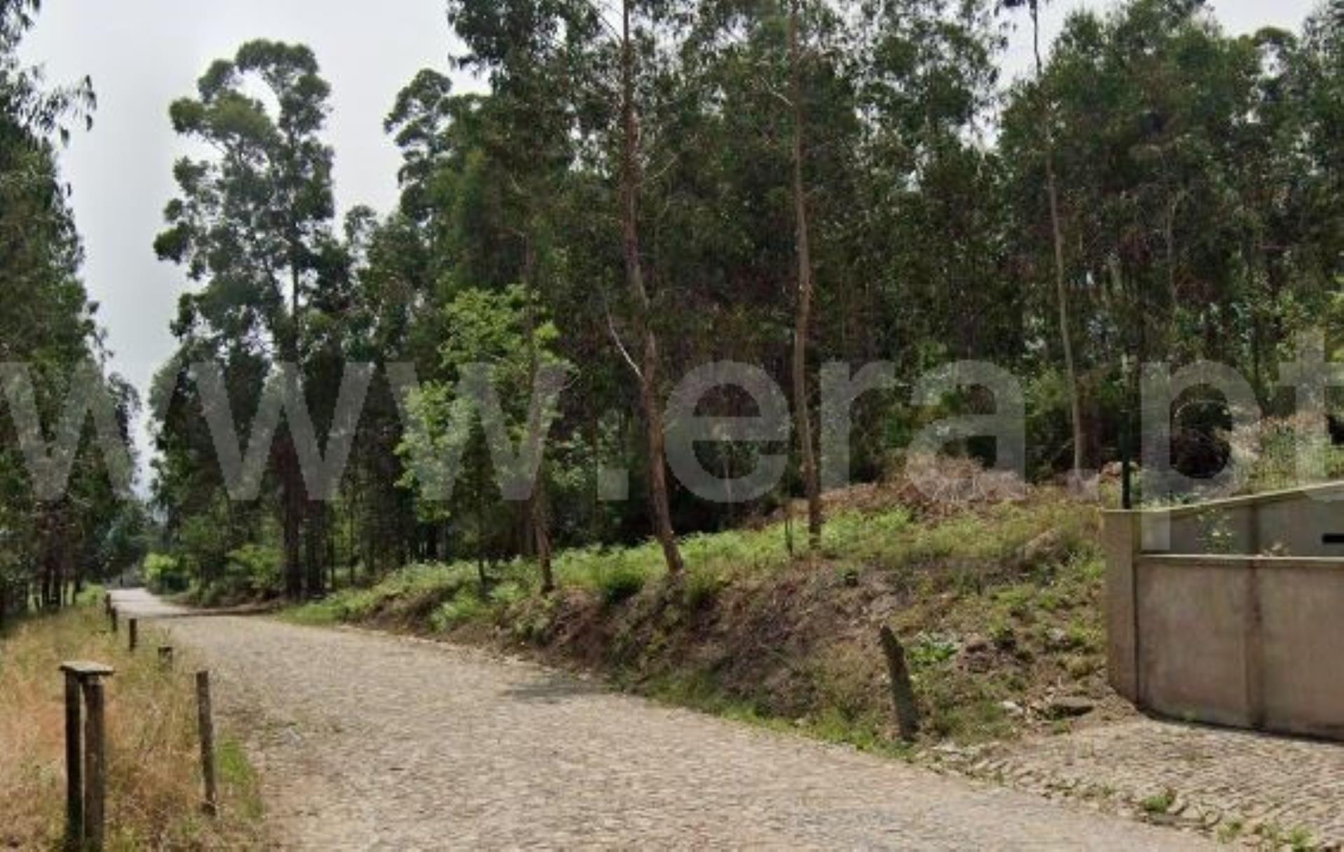 Land for sale in Vila Nova de Famalicão, Portugal — €95,000