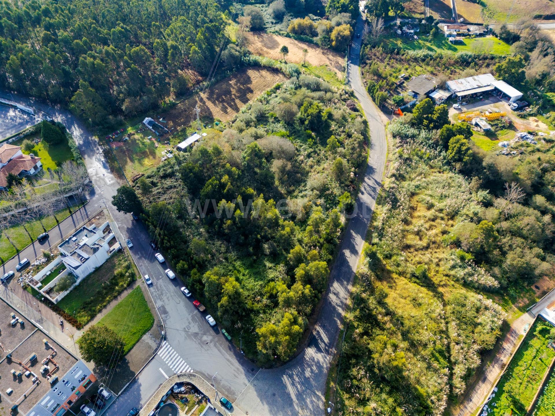 Terreno