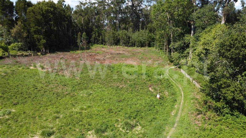 Terreno para Construção / Vila Nova de Gaia, Pedroso e Seixezelo