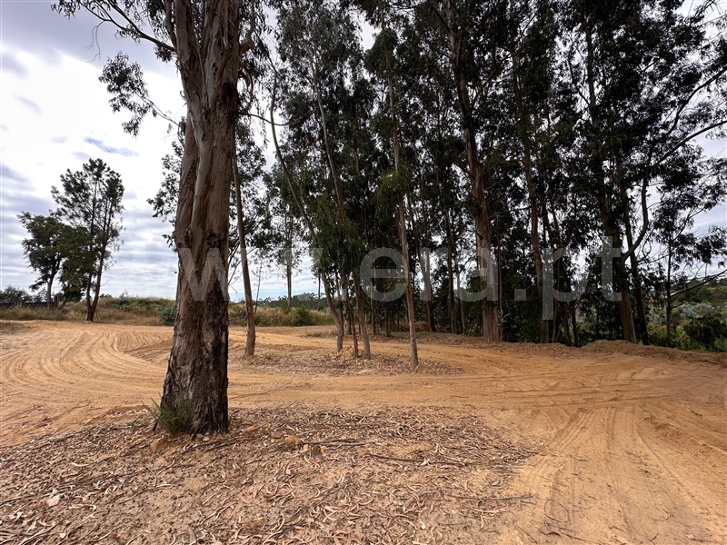 Terreno para Construção  com Urbano Vila Nova de Gaia, Pedroso e Seixezelo - 1497570 - 7
