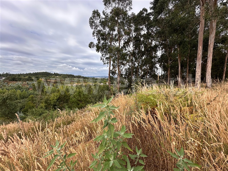 Terreno para Construção  com Urbano Vila Nova de Gaia, Pedroso e Seixezelo - 1497570 - 8