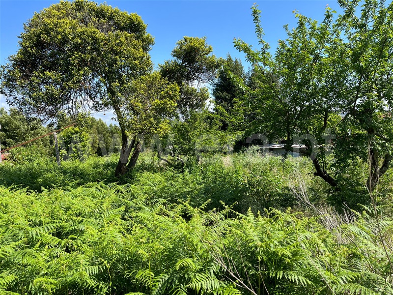 Terreno para Construção / Vila Nova de Gaia, Pedroso e Seixezelo