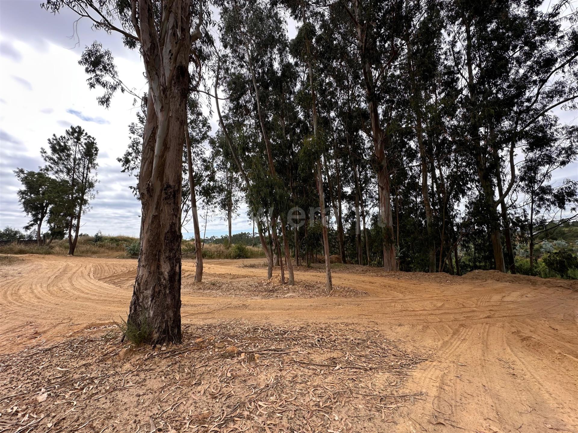 Land for sale in Vila Nova de Gaia, Portugal — €120,000