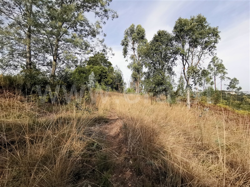 Terreno para Construção / Vila Nova de Gaia, Vilar de Andorinho