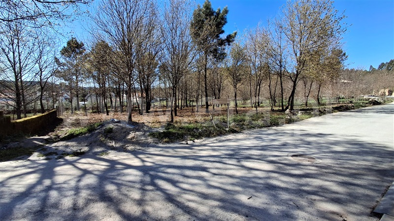 Terreno para Construção  Vila Nova de Paiva, Queiriga - 1451486 - 1