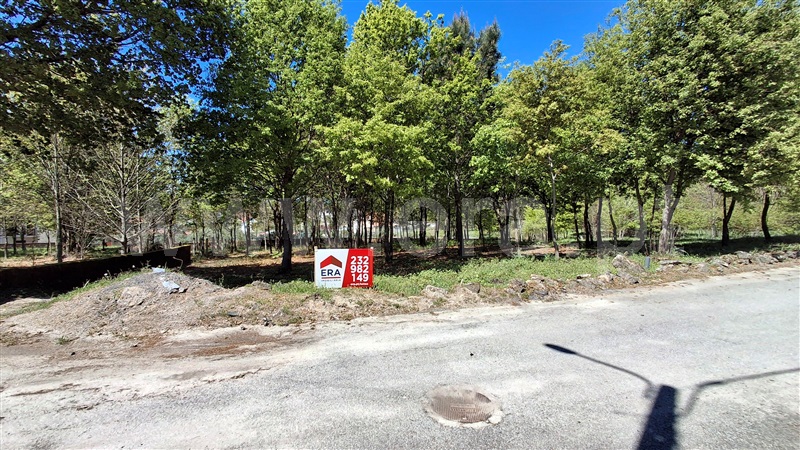 Terreno para Construção / Vila Nova de Paiva, Queiriga