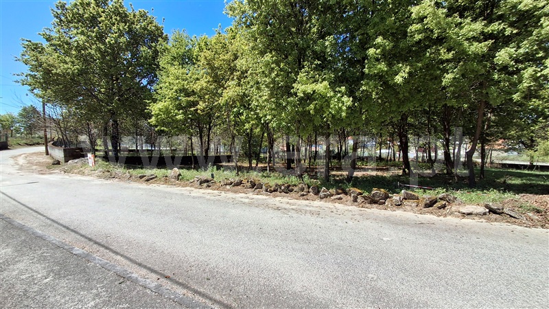 Terreno para Construção  Vila Nova de Paiva, Queiriga - 1451486 - 9