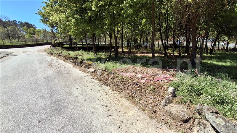Terreno para Construção  Vila Nova de Paiva, Queiriga - 1451486 - 10