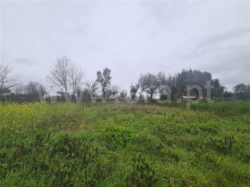 Terreno para Construção / Vila Nova de Poiares, Poiares