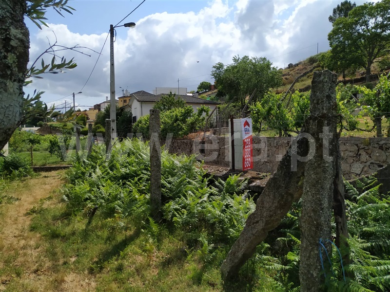Terreno para Construção  Vila Real, Adoufe e Vilarinho de Samardã - 1012633 - 4
