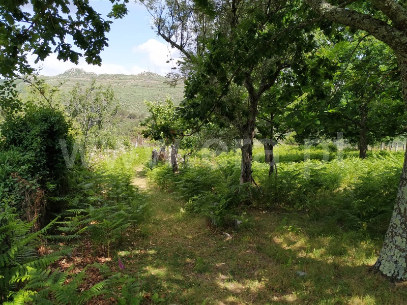 Terreno para Construção  Vila Real, Adoufe e Vilarinho de Samardã - 1012633 - 5