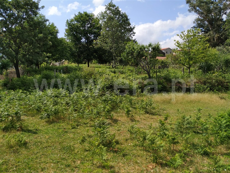 Terreno para Construção  Vila Real, Adoufe e Vilarinho de Samardã - 1012633 - 7
