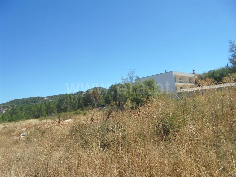 Terreno para Construção  Vila Real, Arroios - 674071 - 5
