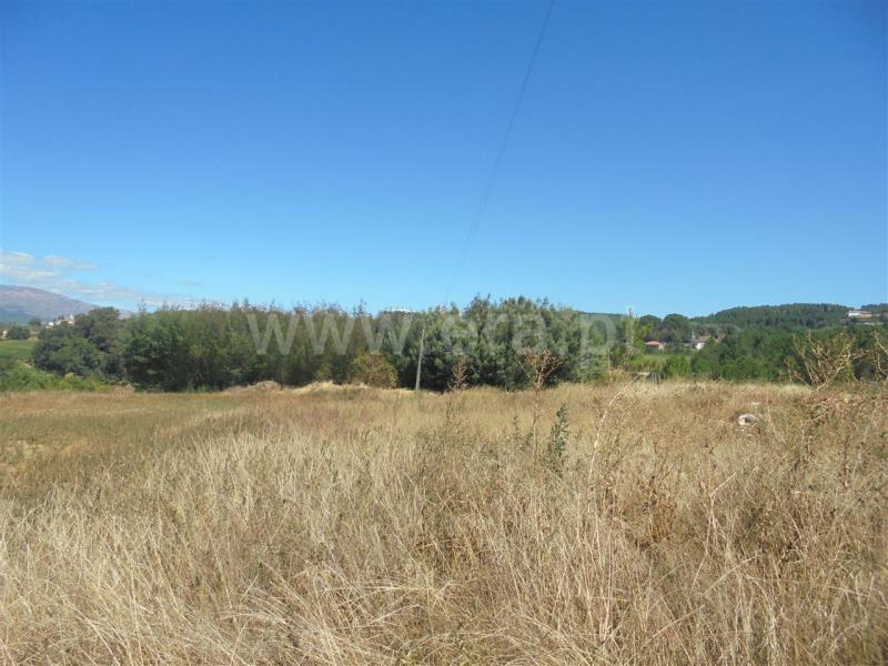 Terreno para Construção / Vila Real, Arroios