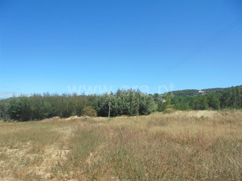 Terreno para Construção  Vila Real, Arroios - 674071 - 4
