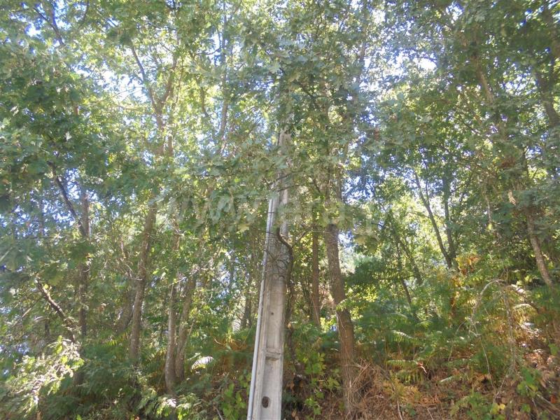 Terreno para Construção  Vila Real, Arroios - 674071 - 16