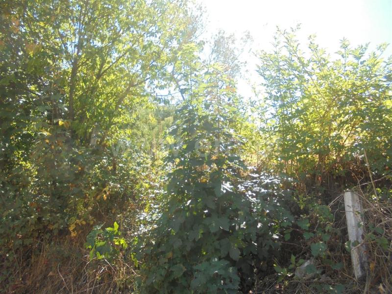 Terreno para Construção  Vila Real, Arroios - 674071 - 17