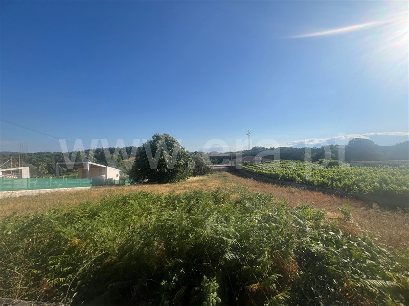 Terreno Rústico  Vila Real, Constantim e Vale de Nogueiras - 1494261 - 1