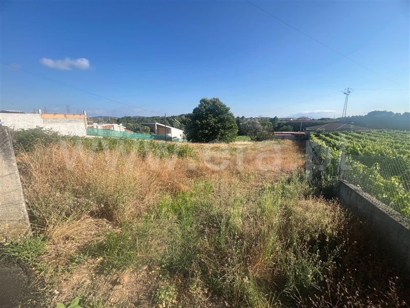 Terreno Rústico  Vila Real, Constantim e Vale de Nogueiras - 1494261 - 2