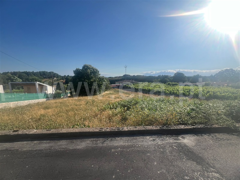 Terreno Rústico  Vila Real, Constantim e Vale de Nogueiras - 1494261 - 3