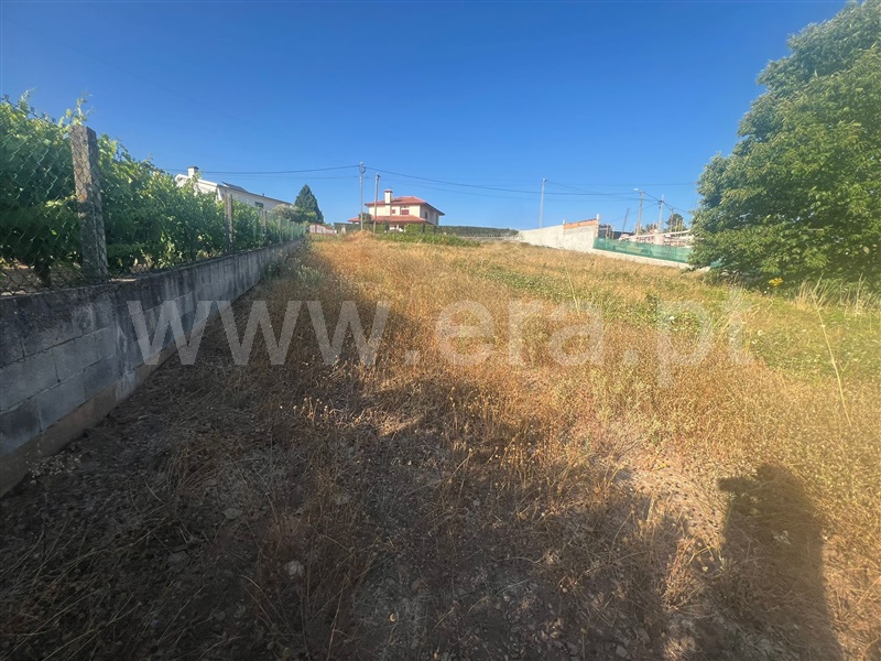 Terreno Rústico  Vila Real, Constantim e Vale de Nogueiras - 1494261 - 6