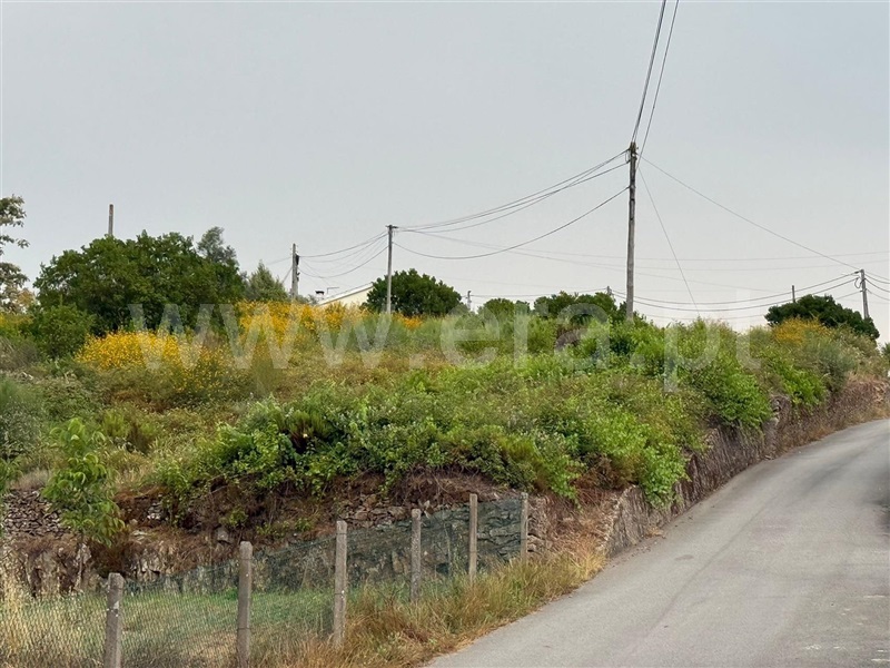 Terreno para Construção / Vila Real, Folhadela