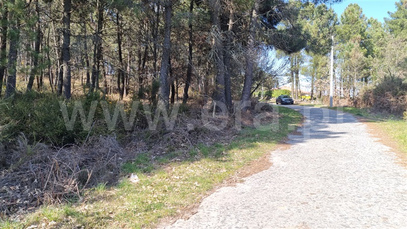 Terreno Urbano  Vila Real, Mouçós e Lamares - 1241582 - 2