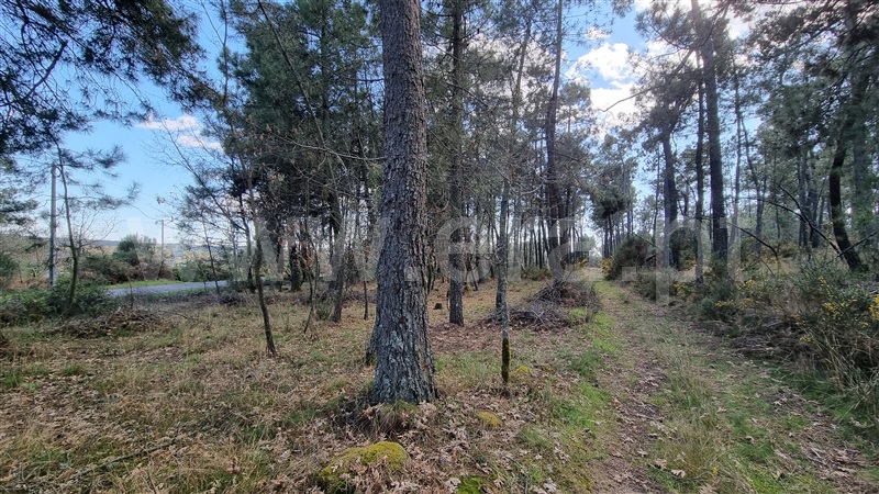 Terreno para Construção  Vila Real, Mouçós e Lamares - 1241582 - 6