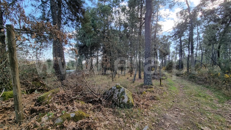 Terreno para Construção  Vila Real, Mouçós e Lamares - 1241582 - 7
