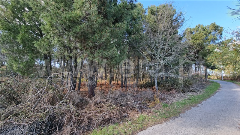 Terreno para Construção  Vila Real, Mouçós e Lamares - 1241582 - 9