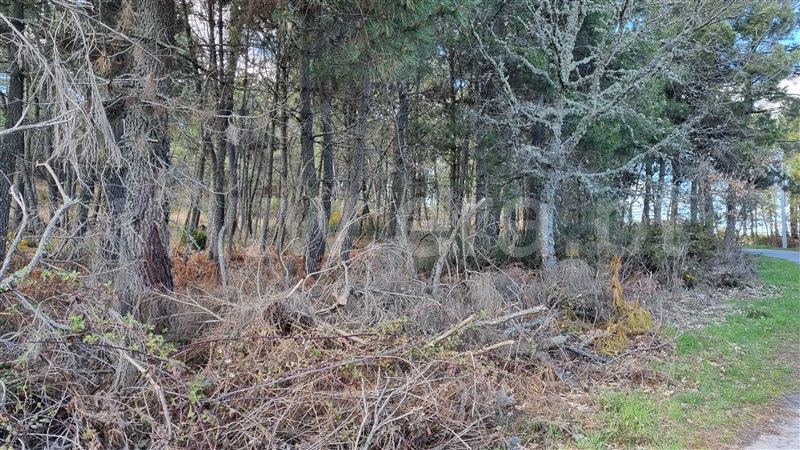 Terreno para Construção  Vila Real, Mouçós e Lamares - 1241582 - 10