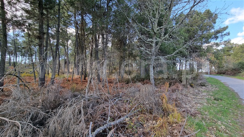 Terreno para Construção  Vila Real, Mouçós e Lamares - 1241582 - 13