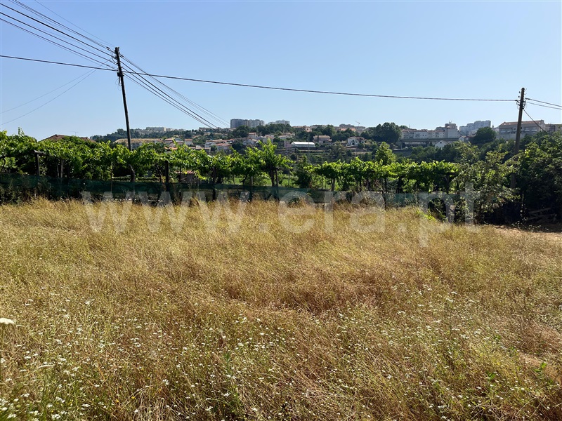 Loteamento  Vila Real, Parada de Cunhos - 1491860 - 3