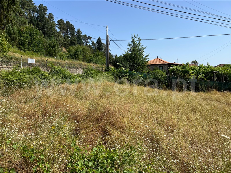 Loteamento  Vila Real, Parada de Cunhos - 1491860 - 4