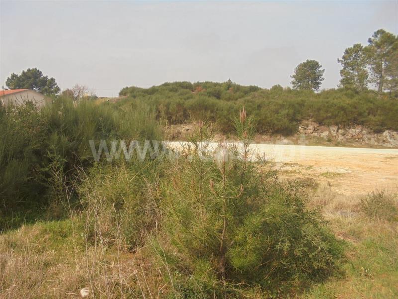 Terreno para Construção  Vila Real, Parada de Cunhos - 632365 - 2