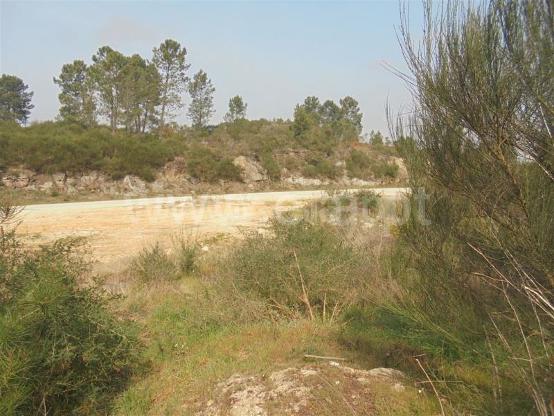 Terreno para Construção  Vila Real, Parada de Cunhos - 632365 - 5
