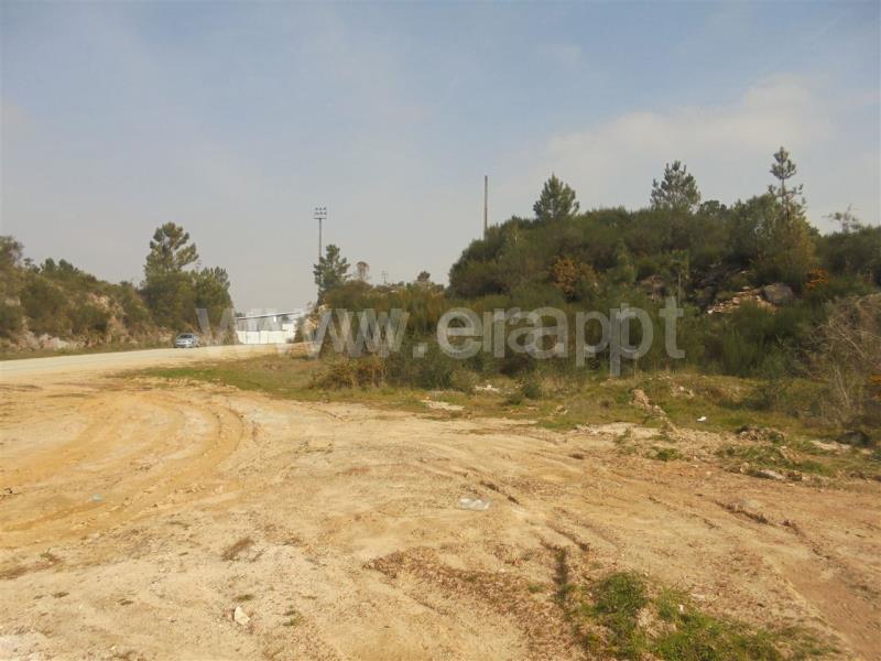 Terreno para Construção / Vila Real, Parada de Cunhos