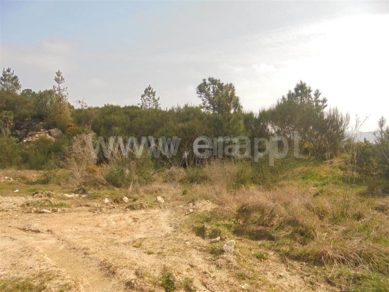 Terreno para Construção  Vila Real, Parada de Cunhos - 632365 - 3