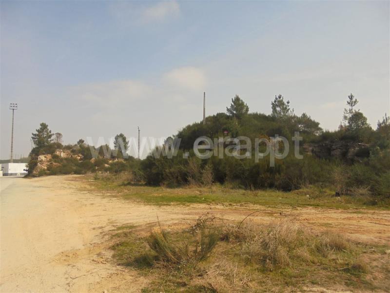 Terreno para Construção  Vila Real, Parada de Cunhos - 632365 - 6