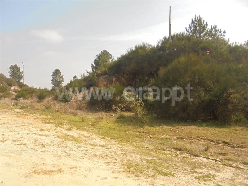 Terreno para Construção  Vila Real, Parada de Cunhos - 632365 - 4