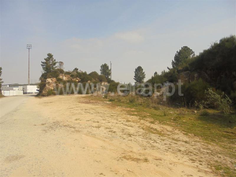 Terreno para Construção  Vila Real, Parada de Cunhos - 632365 - 7