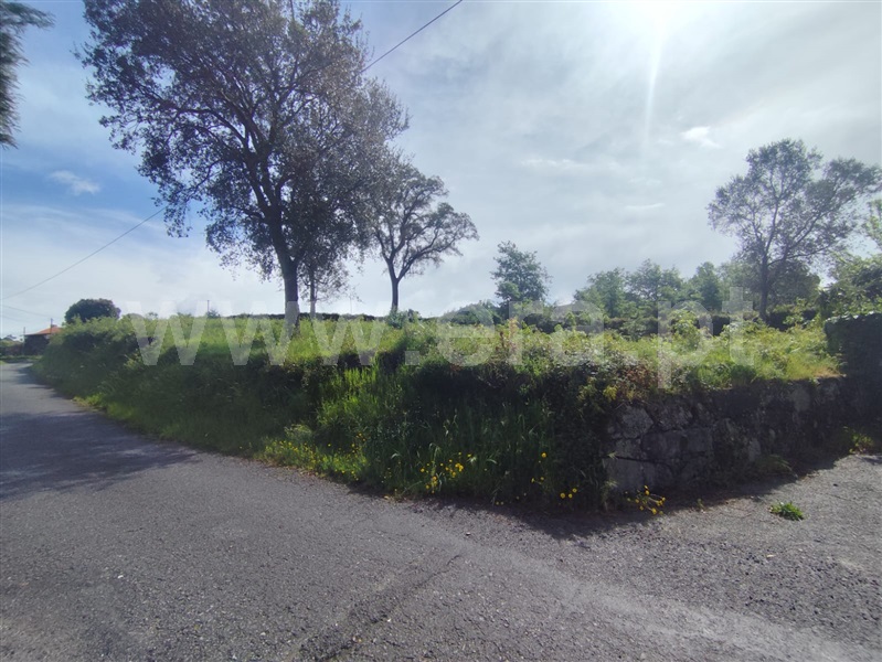 Terreno  com Rústico Vila Verde, Pico - 1476502 - 2