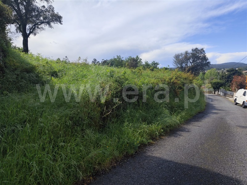 Terreno  com Rústico Vila Verde, Pico - 1476502 - 3