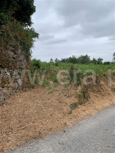 Terreno para Construção  Vila Verde, Pico - 1476502 - 4