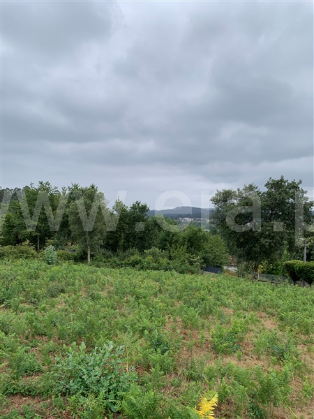 Terreno para Construção  Vila Verde, Pico - 1476502 - 6
