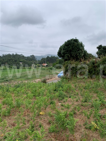 Terreno para Construção  Vila Verde, Pico - 1476502 - 7